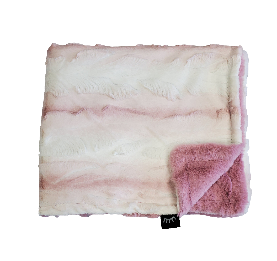 Winx and Blinx Pink Ombre Blanket