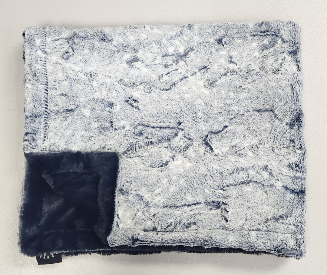 Winx and blinx Frosted Ink Minky Blanket